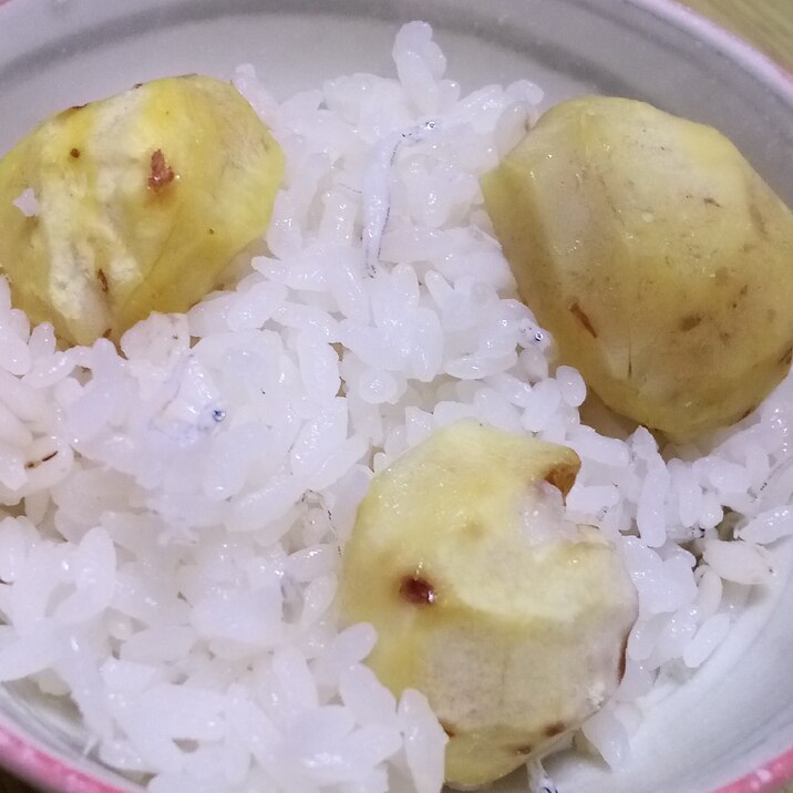 栗しらすご飯